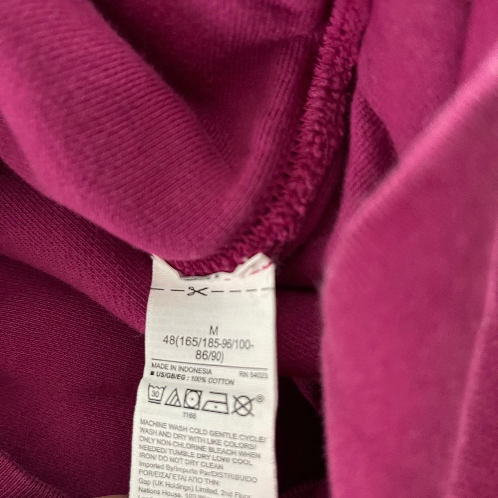 Yeezy GAP hoodie